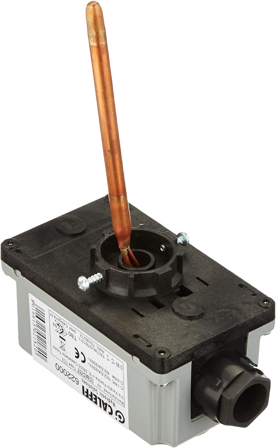 Caleffi 622000 Einstellbarer Tauchthermostat