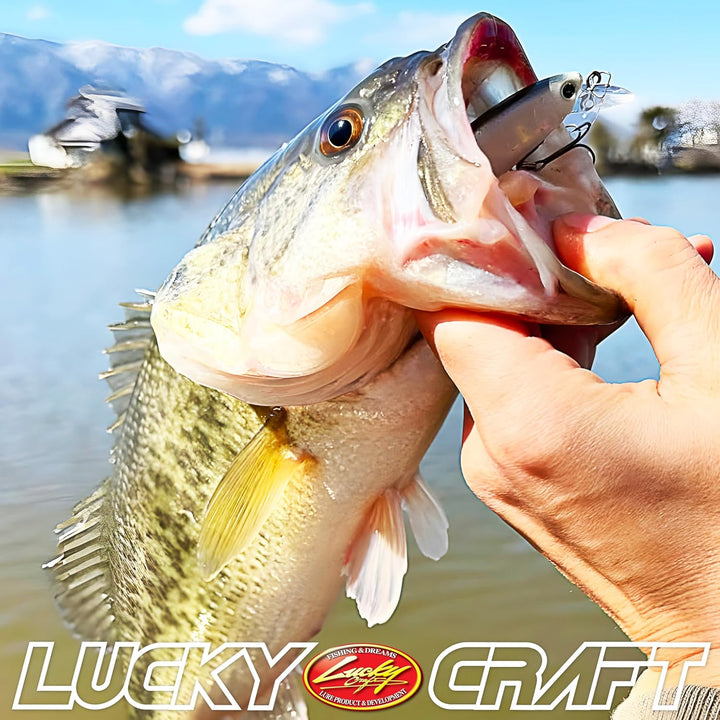 Lucky Craft Angelköder Pointer 65 Jerk Bait Mehrfarbig/Meereswellen (Ocean Tides), Mehrfarbig/Meeres