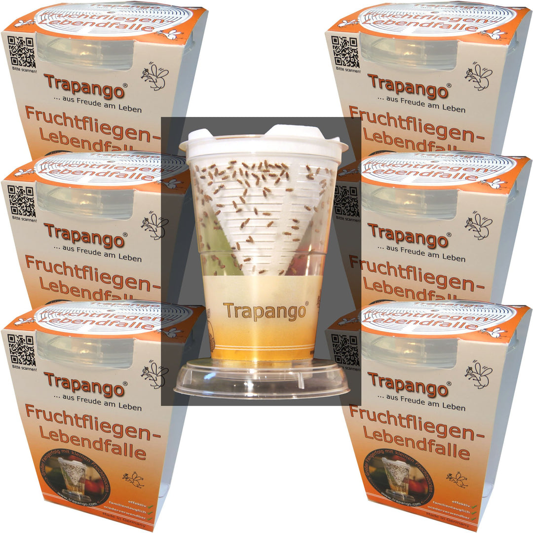 6x Fruchtfliegen-Lebendfalle Trapango®, (6er-Pack)