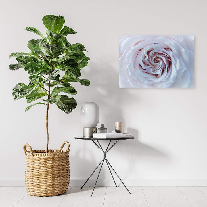 Leinwandbild XXL Rose Wandbild Kunst für Wohnzimmer Weiss 120x80 cm M14573 120x80 cm, M14573 120x80