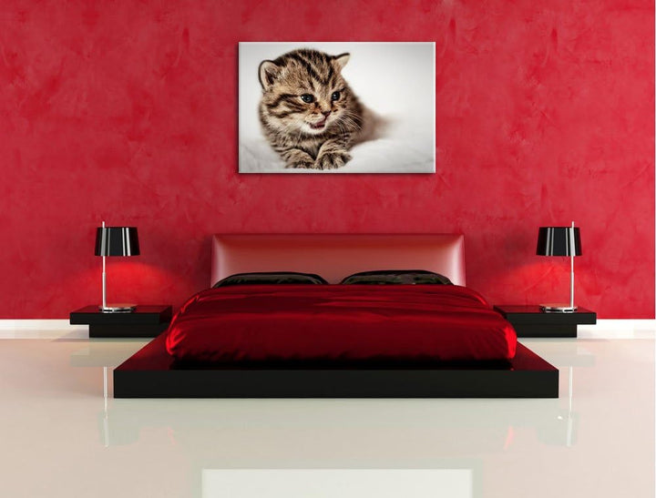 kleines Kätzchen auf weisser Decke auf Leinwand, XXL riesige Bilder fertig gerahmt mit Keilrahmen, K