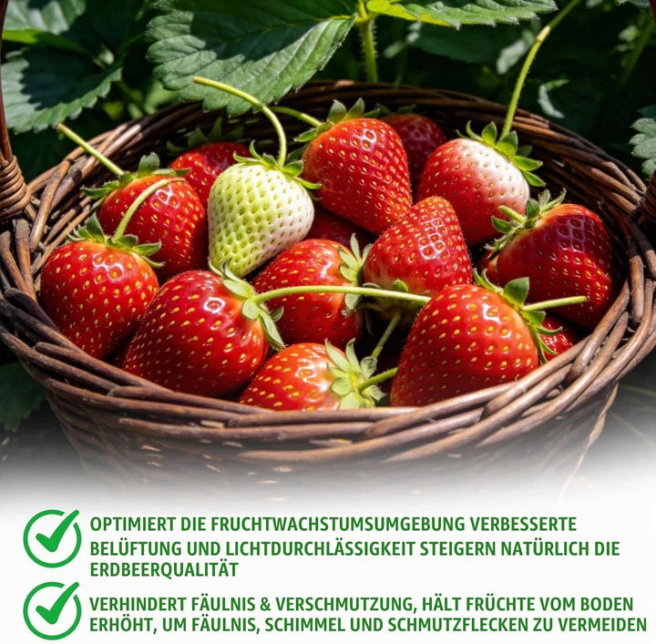 20 Stück Erdbeerstützen Ständer, Erdbeeren Schutz, Erdbeerreifer Erdbeerregal Abnehmbares Pflanzenre