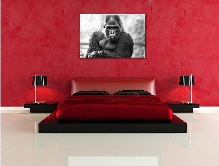 Pixxprint gelangweilter Gorilla Kunst B&W / 100x70cm Leinwandbild bespannt auf Holzrahmen/Wandbild K