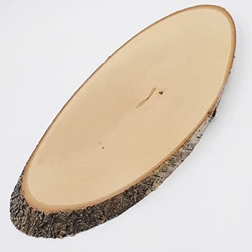 GTK - Geweihe & Trophäen KRUMHOLZ Birke Rothirsch AF 38 cm Hirsch Schild Trophäenschild Geweih Baums