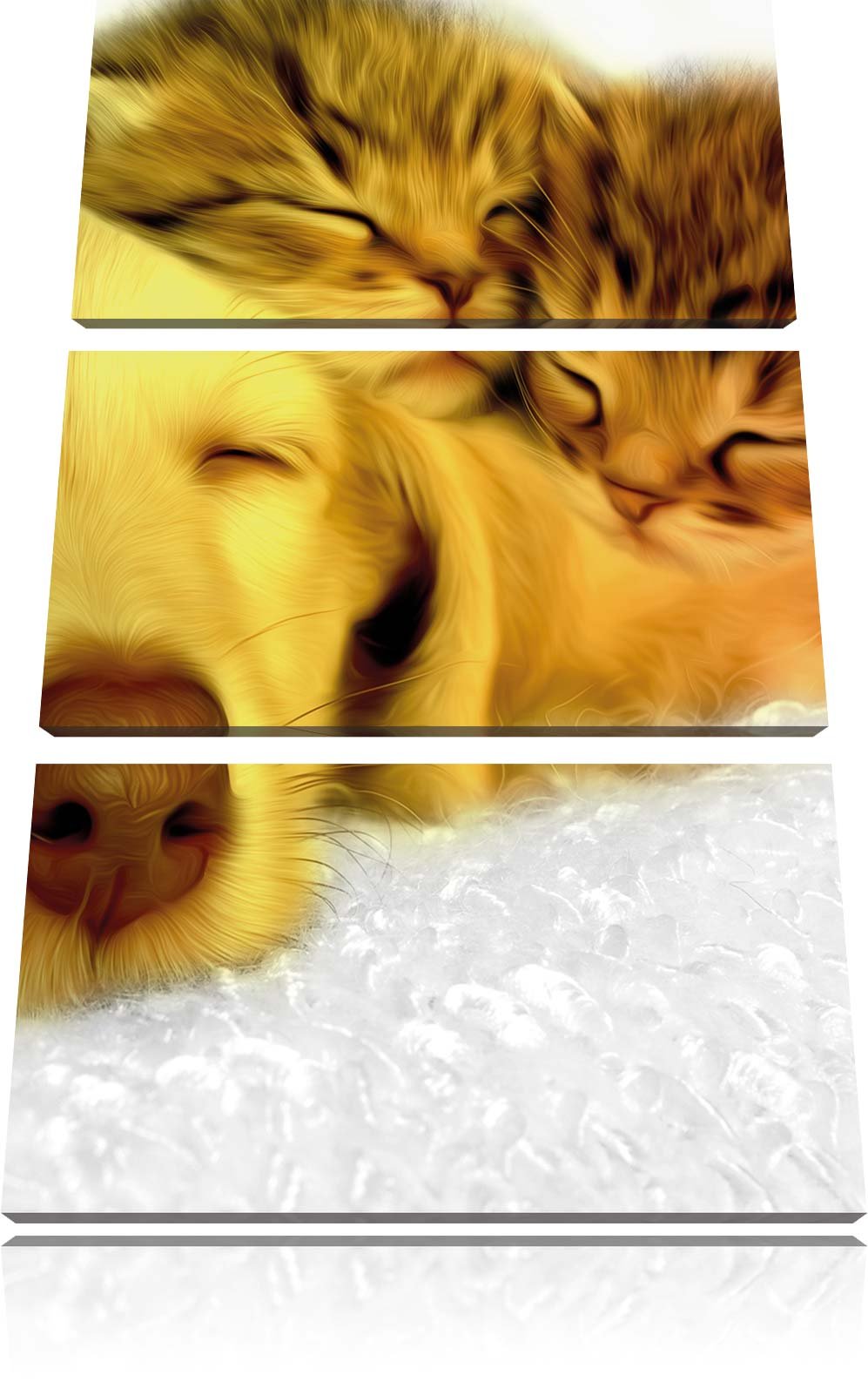 Pixxprint Welpe kuschelt mit süssen Kätzchen als Leinwandbild/Grösse: 3 Teilig (120x80) cm/Wandbild/