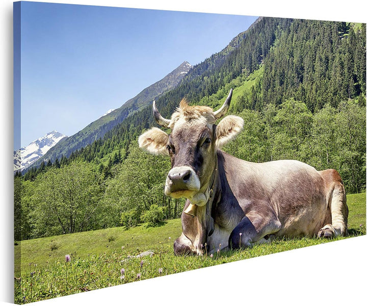 islandburner Bild auf Leinwand Nette Kuh Europäische Alpen Bilder Wandbilder Poster, Leinwand 80x40c