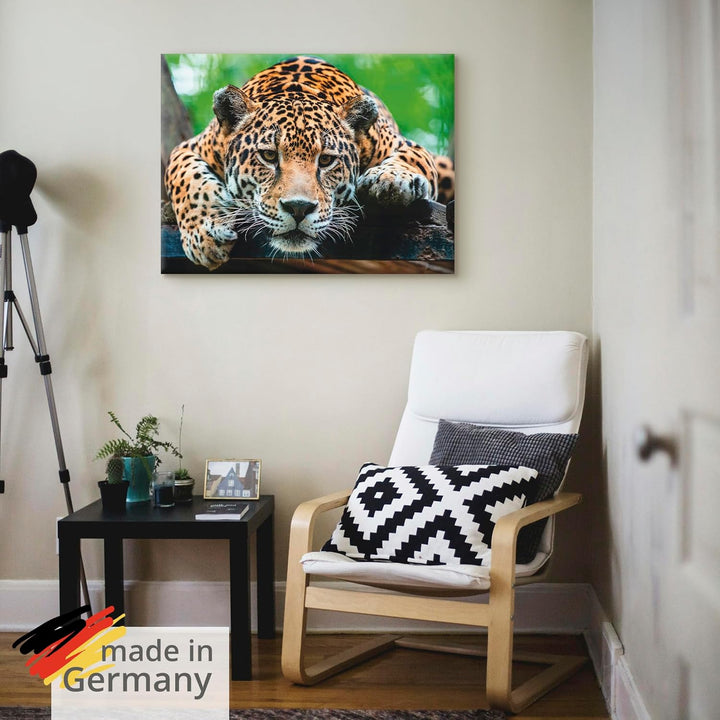 ARTland Leinwandbilder Wandbild Bild auf Leinwand 60x45 cm Tiere Wildtiere Raubkatze Fotografie Brau