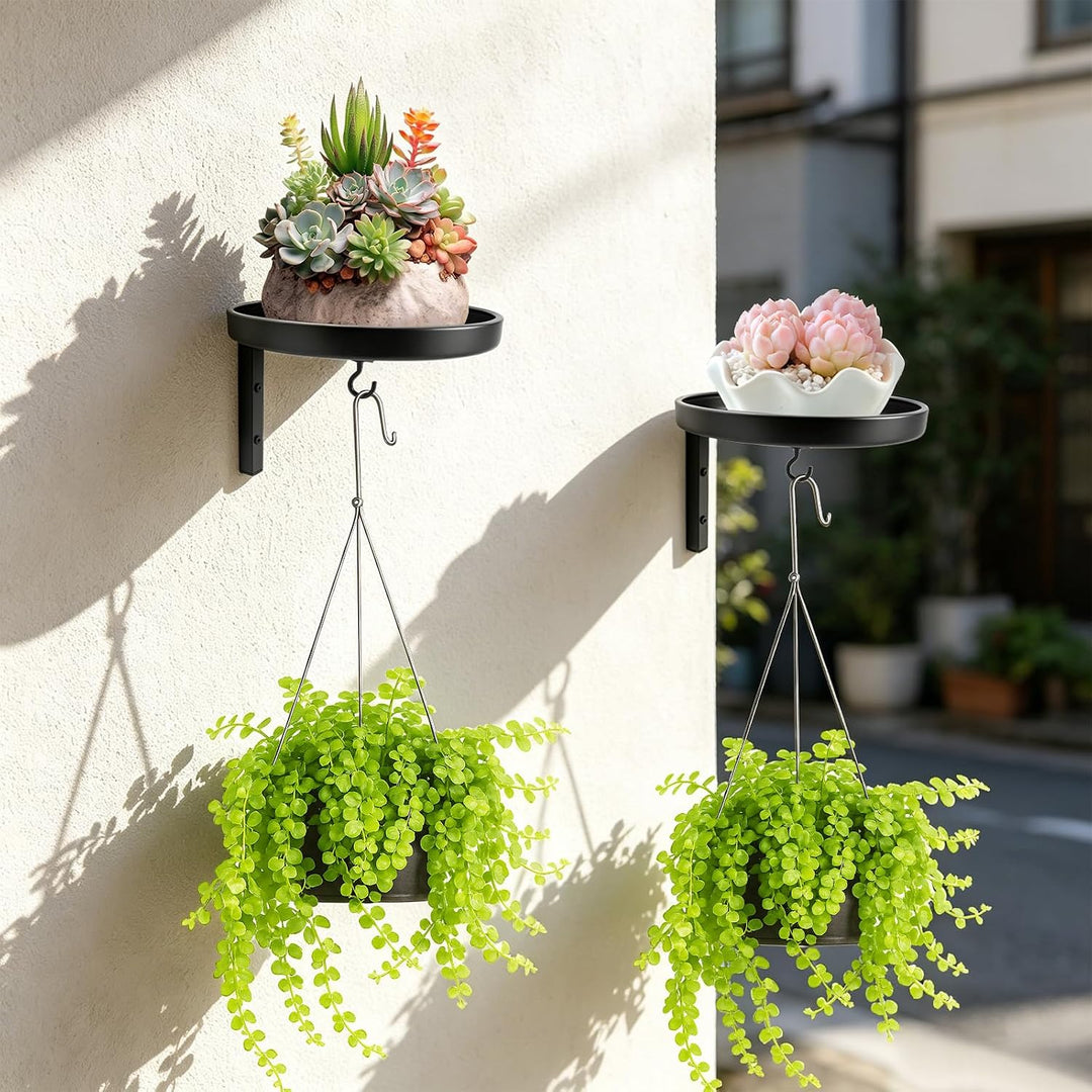 2 Stück Pflanzenständer Pflanzenregal, 20cm Blumenständer Metall Schwarz Wand mit Haken Pflanzenrega