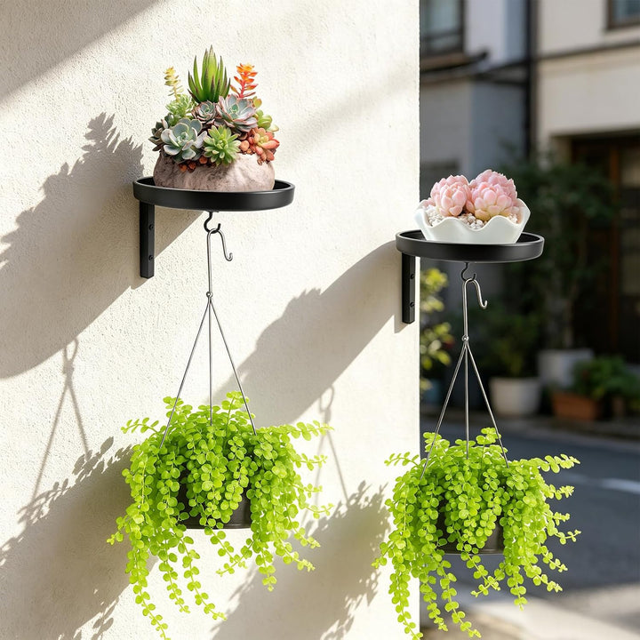 2 Stück Pflanzenständer Pflanzenregal, 20cm Blumenständer Metall Schwarz Wand mit Haken Pflanzenrega