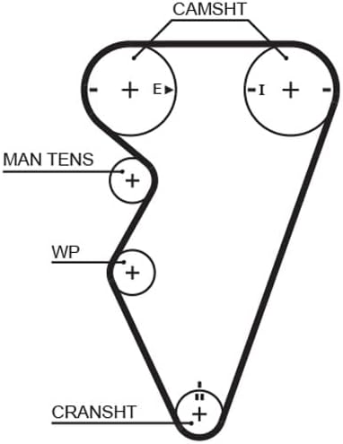 GATES Steuerriem 5416XS