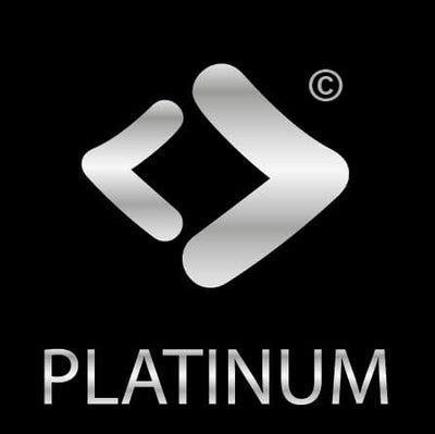 PATONA Platinum DMW-BLC12 E USB Akku 1100mAh mit direktem USB-C Eingang (1402) DC FZ1000 II G91 DMC