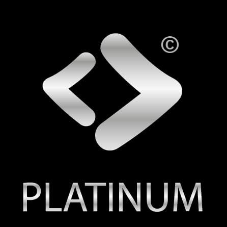 PATONA Platinum DMW-BLC12 E USB Akku 1100mAh mit direktem USB-C Eingang (1402) DC FZ1000 II G91 DMC