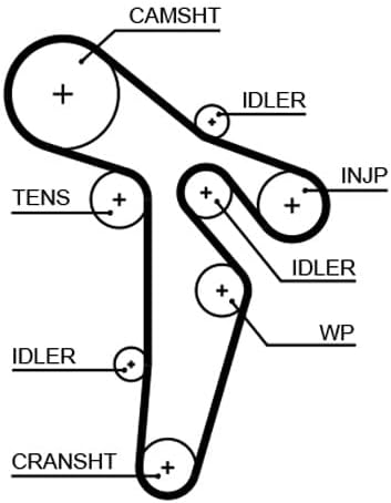 GATES Steuerriem 5648XS
