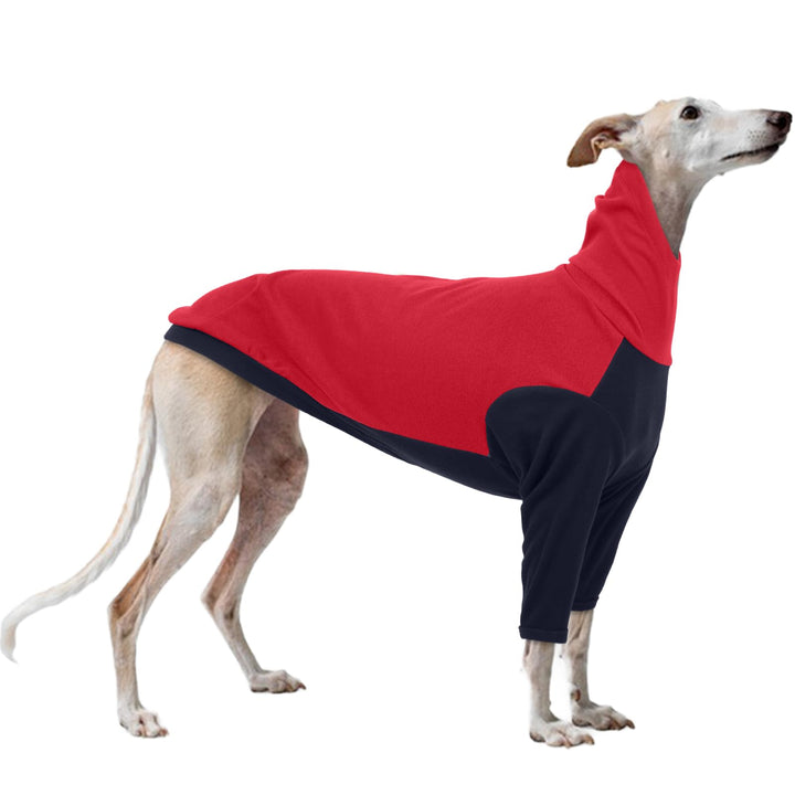 Whippet Mantel, Hundepullover Windhund Hundemantel Windhund Greyhound Sweater Fleece Whippet Kleidun
