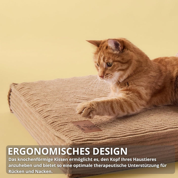 Orthopädisches Katzenbett mit Kissen, wasserdicht, waschbar L 61 x B 15 x H 46 cm, L 61 x B 15 x H 4