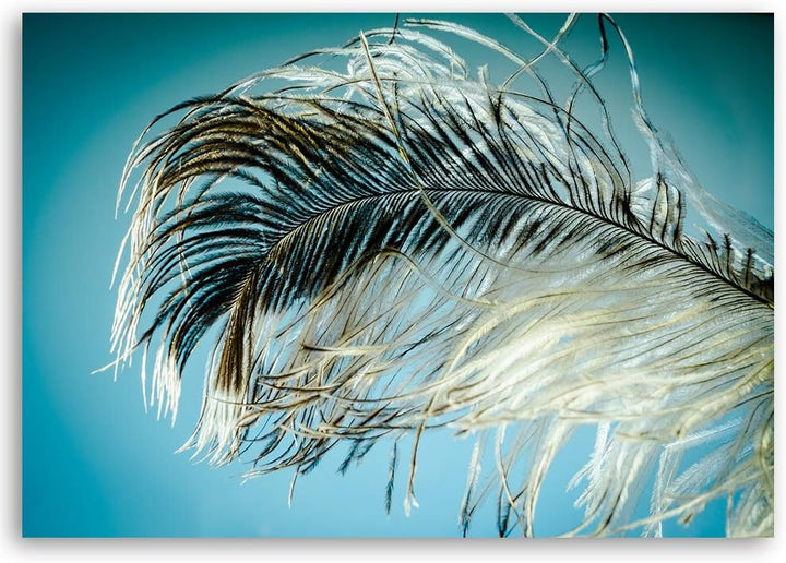 Wanddeko Feder Leinwandbild Kunstdruck abstrakt Blau 100x70 cm M14243 100x70 cm, M14243 100x70 cm