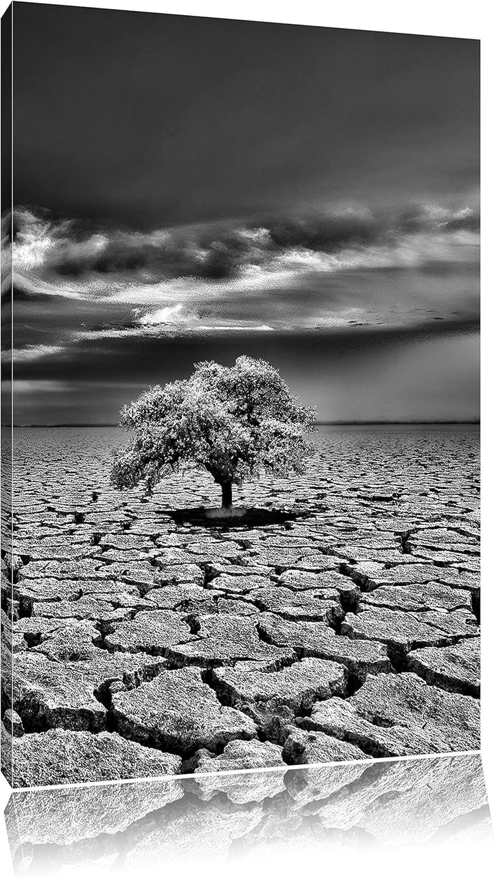 Pixxprint Monocrome, Der letzte Baum im ausgetrockneten Boden, Format: 100x70 auf Leinwand, XXL ries