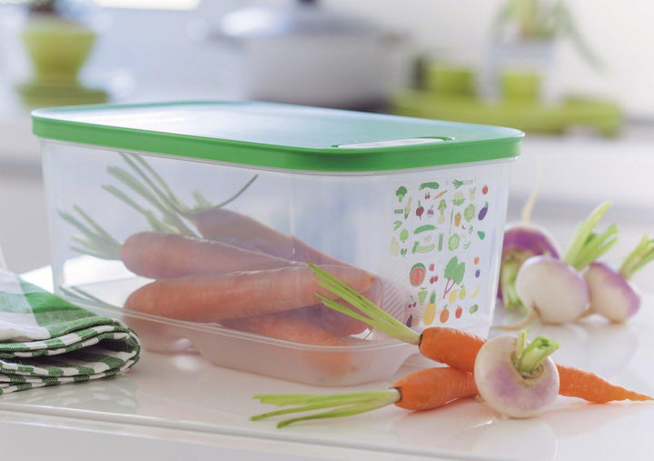 TUPPERWARE Kühlschrank 4,4L dunkelgrün KlimaOase hoch PrimaKlima A183 Klimakönig 10304
