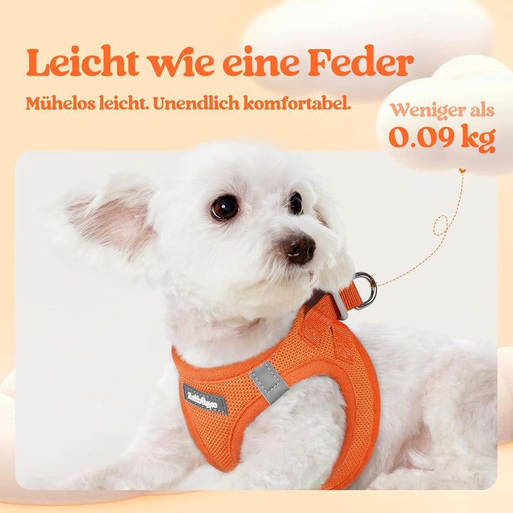 rabbitgoo Hundegeschirr Kleine Hunde mit Leine, Step-in Welpengeschirr Weich Mesh für Spaziergänge,