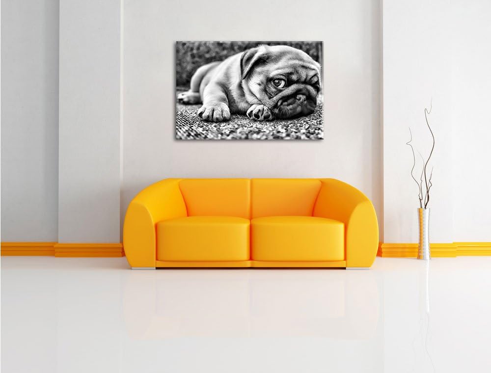 Pixxprint Süsser Mops auf Teppich als Leinwandbild/Grösse: 100x70 / Wandbild/Kunstdruck/fertig bespa