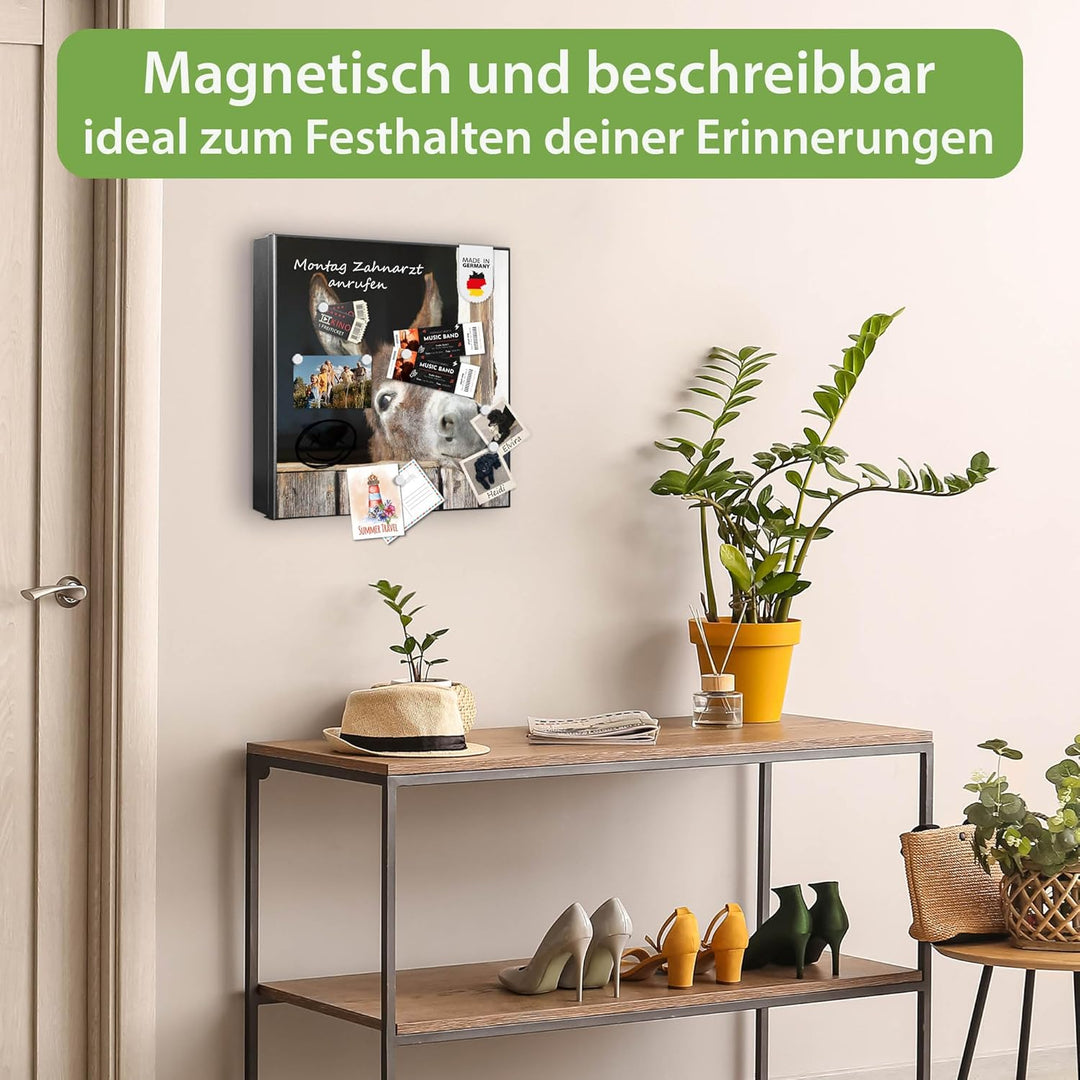 banjado® Grosser Schlüsselkasten Glas/Schlüsselbox 30cm x 30cm mit 50 Haken - Motiv Nicki/Schlüsselk