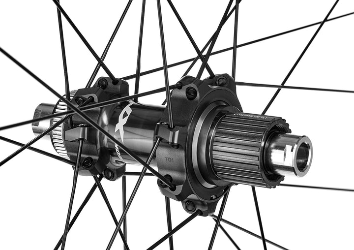 SHIMANO Unisex-Adult Rad nach. XT M8100 29" Fahrradräder, Mehrfarbig, one Size
