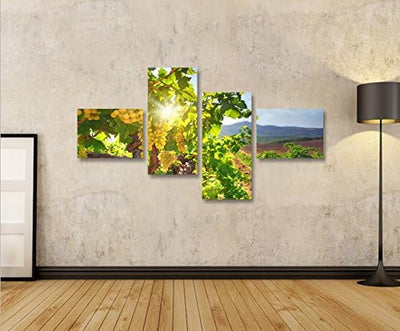 islandburner Bild Bilder auf Leinwand Weintrauben V2 Weinberg Sonne Toskana 4L XXL Poster Leinwandbi