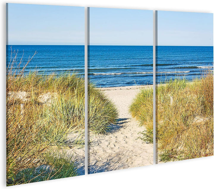 islandburner Bild auf Leinwand Weg Zum Strand An Ostsee Mit Strandhafer Bilder Wandbilder Poster Lei