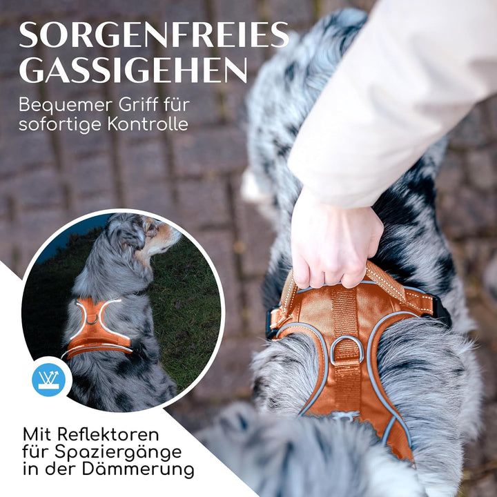FREUDENTIER Hundegeschirr mit Mesh-Polsterung - Höchster Komfort, bombenfester Sitz & maximale Siche