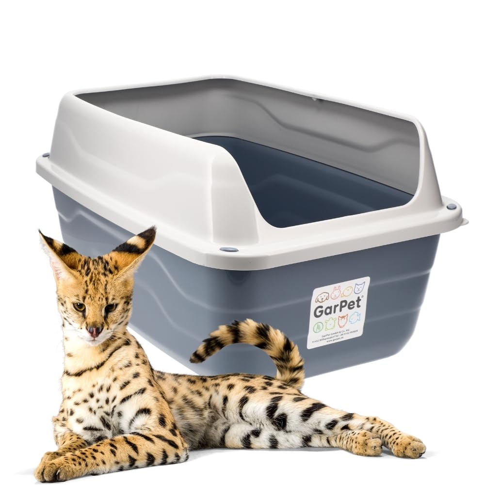 GarPet XXL Extra hohe Katzentoilette offene Katzenklo mit hohem Rand Jumbo Schalentoilette gross ohn