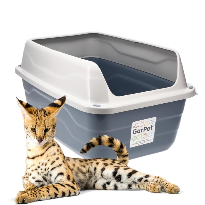 GarPet XXL Extra hohe Katzentoilette offene Katzenklo mit hohem Rand Jumbo Schalentoilette gross ohn