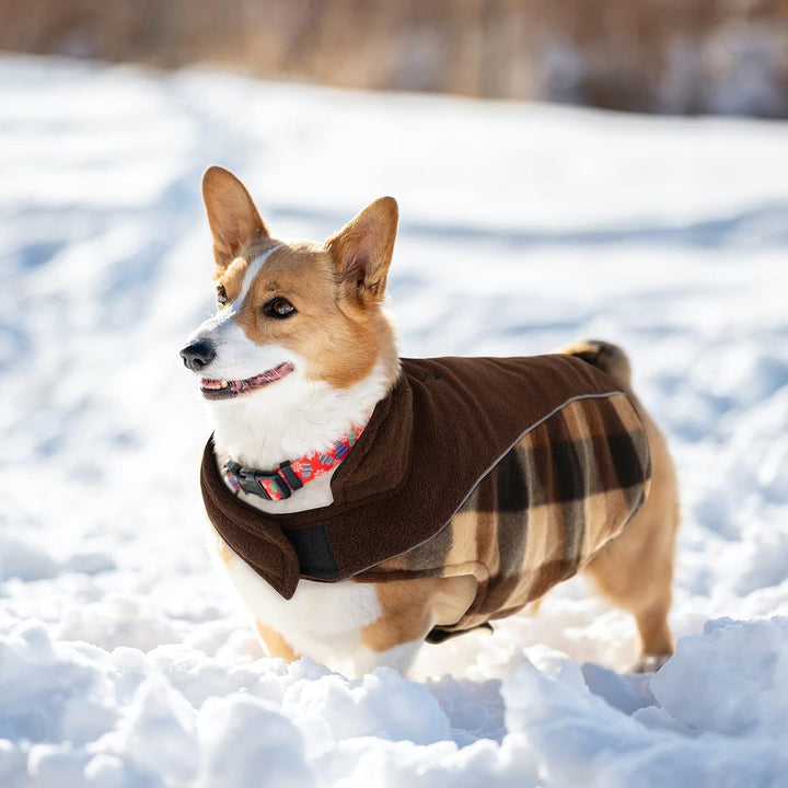 CITÉTOILE Warme Hundemantel Winter, Hundemantel mit Bauchschutz, Wintermantel für Hunde mit Reflekti