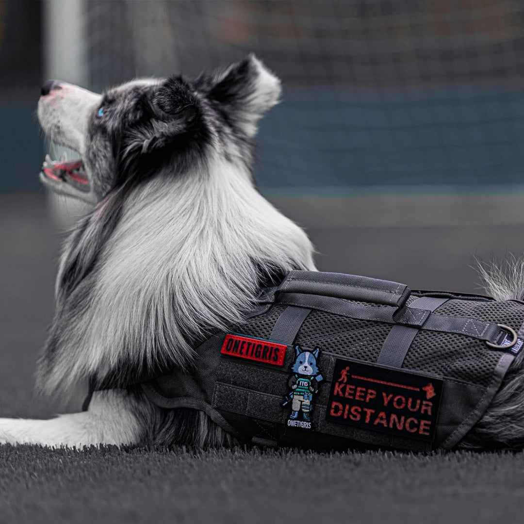OneTigris No-Pull Hundegeschirr, AIRE MESH Einstellbar Sicherheitsgeschirr Ultra Atmungsaktiv für Gr