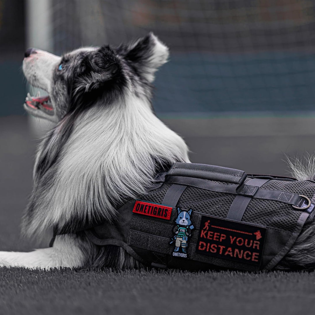 OneTigris Hundegeschirr Kleine Hunde, AIRE MESH Taktisches Anti Zug Geschirr mit 2 Griff Verstellbar