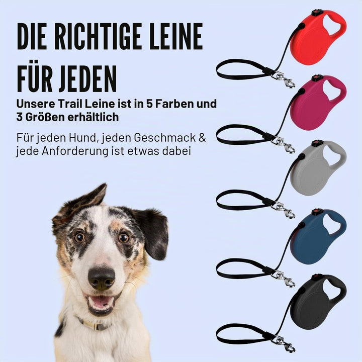 KONG ausrollbare Hundeleine "Trail" I hochwertige Rollleine mit Break & Lock System I lange Leine fü