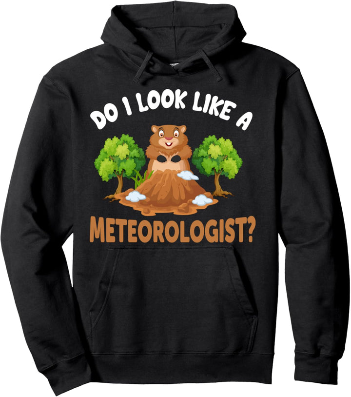 Do I Look Like Meteorolist Groundhog Woodchucks Lover Pullover Hoodie