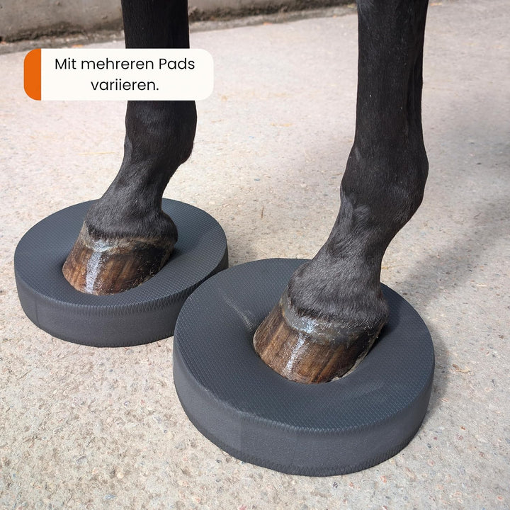 Pferde Balance Pad Dunkelgrau – Koordination &amp; Körpergefühl 2, 2