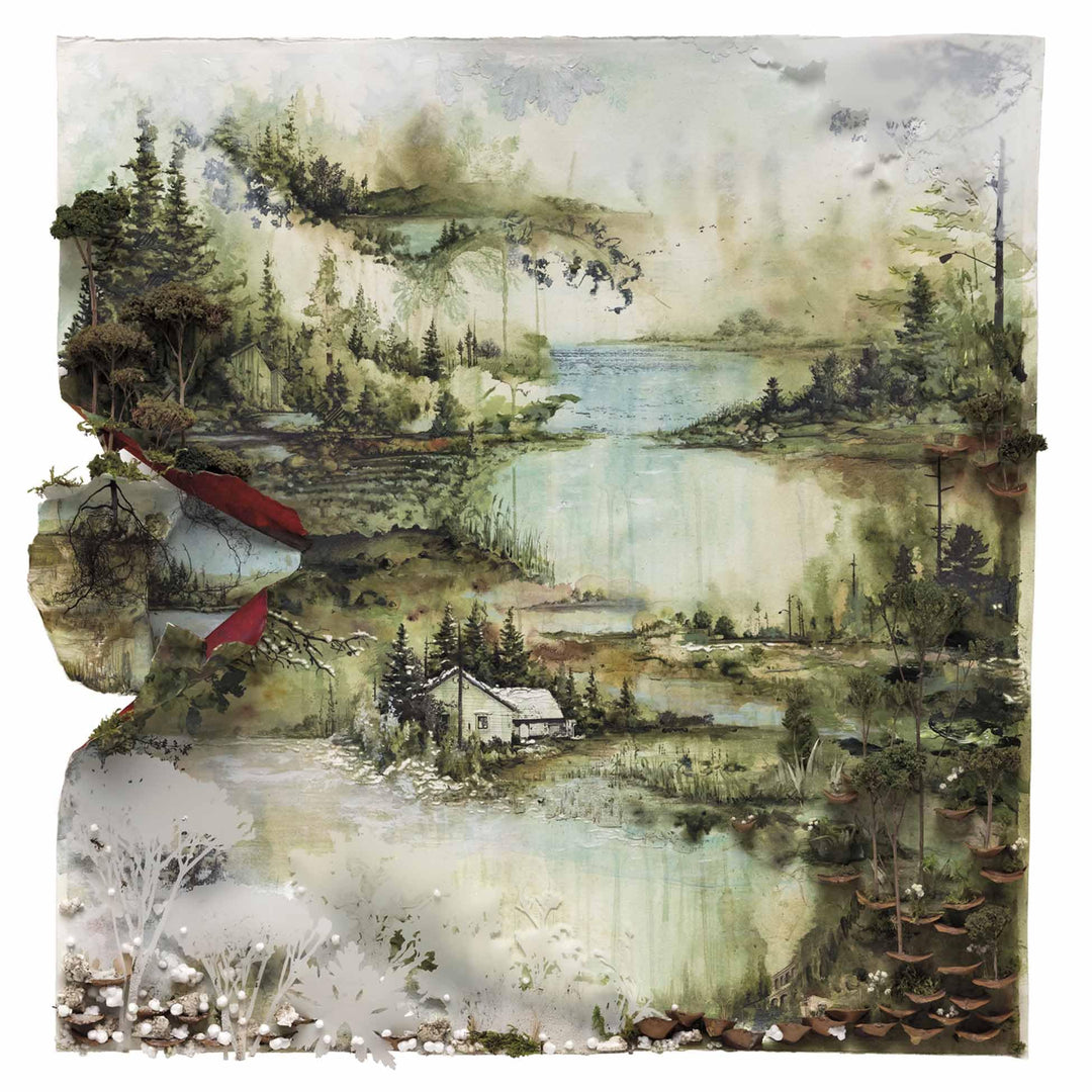 Bon Iver, Vinyl