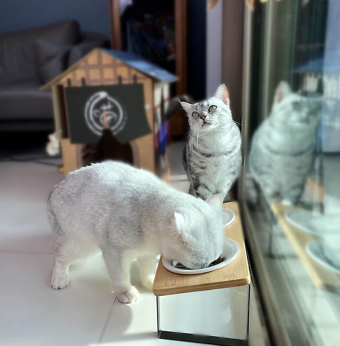 Futterstation Katzen Erhöht | Katzen Fressnapf Katze Erhöht | Ergonomischer Katzennapf Erhöht Kerami