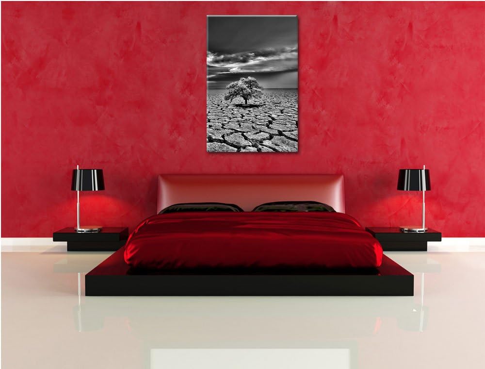 Pixxprint Monocrome, Der letzte Baum im ausgetrockneten Boden, Format: 100x70 auf Leinwand, XXL ries
