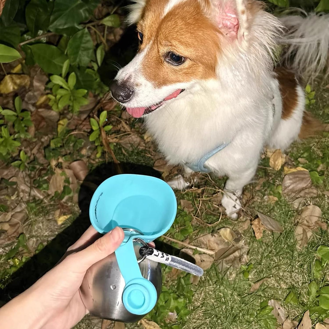 Trinkflasche Hunde Für Unterwegs, 285ml Edelstahl Hundetrinkflasche Für Unterwegs, Tragbare Auslaufs