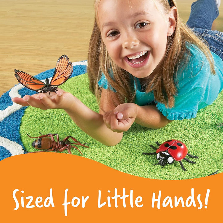 Learning Resources Insekten, Mittel