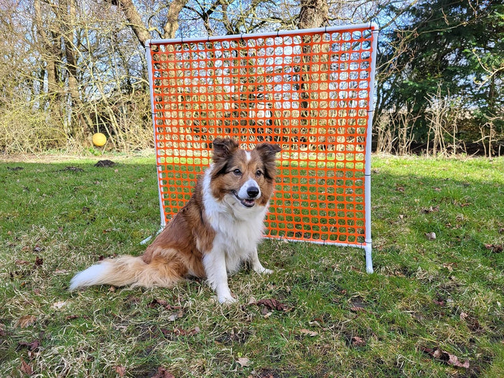 HOOPERS Agility Zaun orange/VDH-KONFORM/Gate/Gatter/Trennzaun, aus Kunststoff, NADAC Hoopers