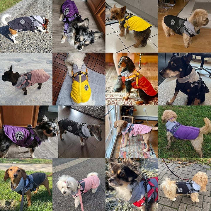 Hundemantel Winter Warm Wasserdicht Winddicht Reflektierend Hundejacke mit Geschirr für Kleine Hunde