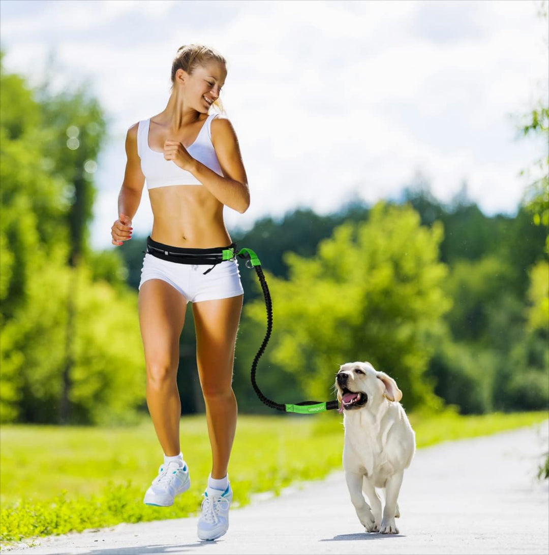 Leisegrün Bungeeleine für mittelgrosse Hunde bis 25 kg - Elastische Hundeleine für Joggingleine - Lä