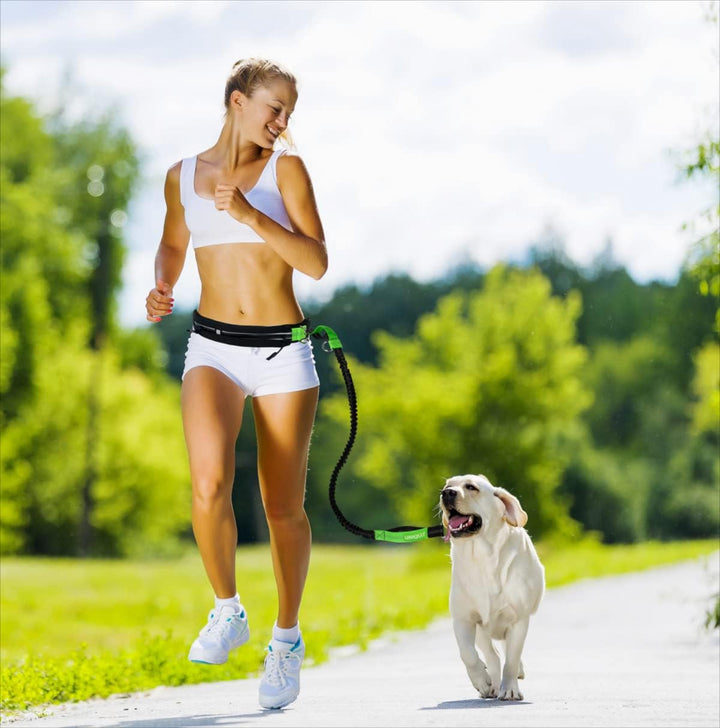 Leisegrün Bungeeleine für mittelgrosse Hunde bis 25 kg - Elastische Hundeleine für Joggingleine - Lä