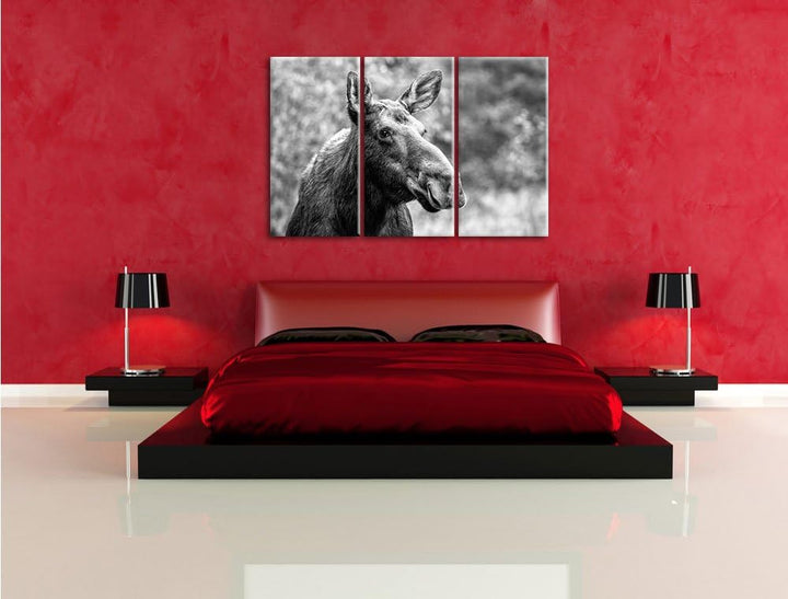 Pixxprint Elch im Wald Kunst B&W 3-Teiler Leinwandbild 120x80 Bild auf Leinwand