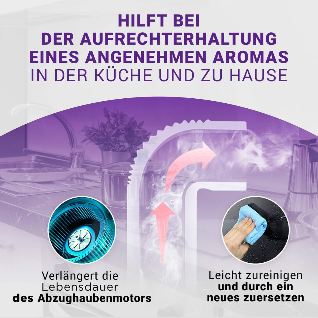 Filter Dunstabzugshaube Kohlefilter 430x175mm Ersatz für 296178 Neff Abzugshaube Filter - Aktivkohle