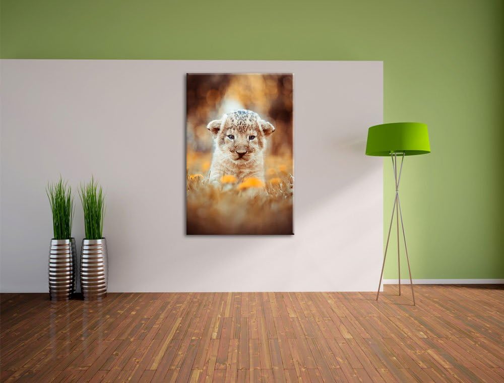 Niedliches Löwenbaby, Format: 100x70 auf Leinwand, XXL riesige Bilder fertig gerahmt mit Keilrahmen,