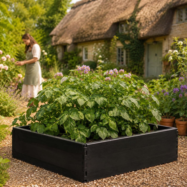 Garland Erhöhtes Gemüsebeet, 97,5 x 97,5 x 25 cm, Schwarz